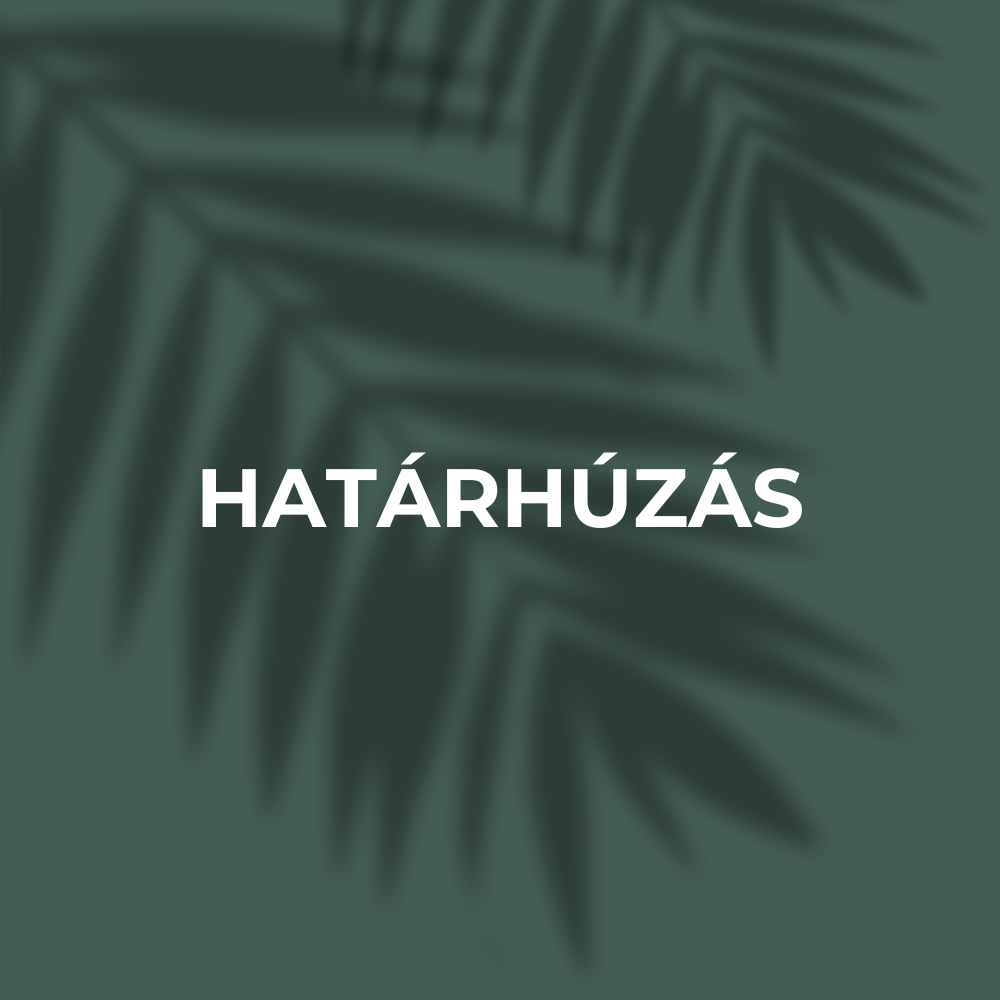 Határhúzás