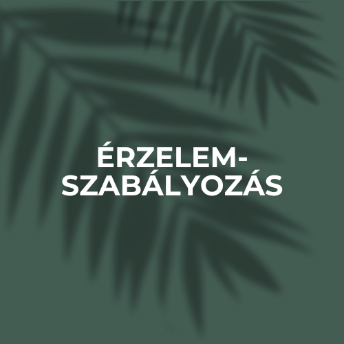 Érzelemszabályozás